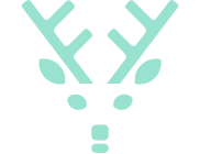 Fallow Deer
